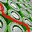 bezier