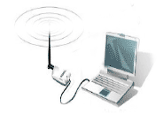  Portable 